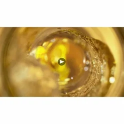 Chateau D'Yquem Sauternes 2019 -WINE Sales ctc530wtyslaozbv1ehj