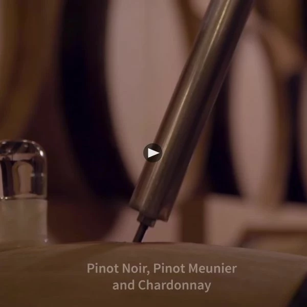 Billecart-Salmon Brut Sous Bois 5 Billecart-Salmon Brut Sous Bois - Image 3