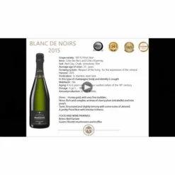 Champagne Mandois Blanc De Noirs Brut 2015 -WINE Sales u9h2xsnjkctzsjqsxh2y