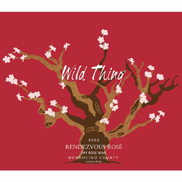 Carol Shelton Wild Thing Rendezvous Rose 2022 4 Carol Shelton Wild Thing Rendezvous Rose 2022 - Image 2